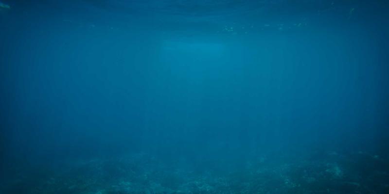 鬼雨秋坟泣幽魄：李贺“诗鬼”的意象迷宫与千年诗魂的奇崛回响